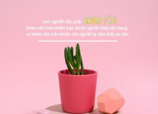 Sống khiêm tốn mới là đỉnh cao của sự hiểu biết khiem ton