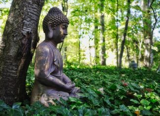 Câu chuyện 29. Gã nghèo đốt y phục truyen ga ngheo dot y phuc