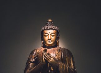 Câu chuyện 4. Giả chết dối chồng truyen gia chet doi chong