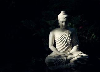 1. Người ngu ăn muối truyen nguoi ngu an muoi