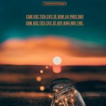Hiệu ứng ngựa hoang hieu ung ngua hoang
