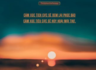 Hiệu ứng ngựa hoang hieu ung ngua hoang