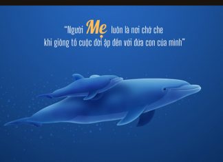 Lá thư người mẹ la thu nguoi me