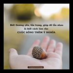 Mang hạnh phúc đến cho người mang hanh phuc den cho nguoi