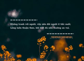 Hạnh phúc nào ở đâu xa khong tranh voi nguoi
