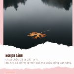 Học cách cúi đầu lặng khóc, ngẩng đầu để mỉm cười nghich canh