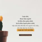 Vạn sự tuỳ duyên, ắt đời an lạc van su tuy duyen at doi an lac