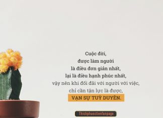 Vạn sự tuỳ duyên, ắt đời an lạc van su tuy duyen at doi an lac
