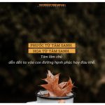 Hãy tập cách sống tốt hay hoc cach song tot
