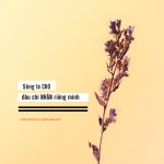 Học làm giàu hoc lam giau