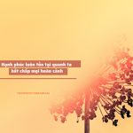 Niềm vui hay nỗi buồn là do bản thân mình chọn niem vui noi buon 1