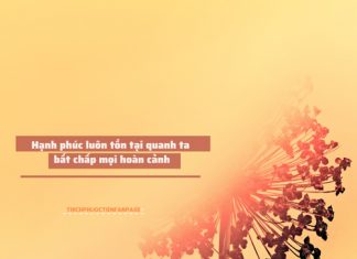 Niềm vui hay nỗi buồn là do bản thân mình chọn niem vui noi buon 1