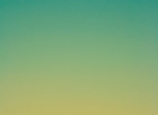 Chim sáo và người trồng nho nadiia ploshchenko B yBNcRgvFY unsplash
