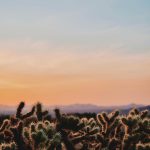 Sống lương thiện, yêu thương mọi người nicolas moscarda eoJbO7P 1RY unsplash