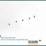 Từ Bỏ theo lời Phật dạy BIET DUNG DUNG LUC