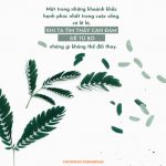 Can đảm để từ bỏ những gì không thể đổi thay can dam tu bo