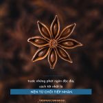Đừng bận tâm tới những lời nói tiêu cực doi mat thi phi