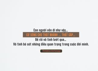 Sống vội song voi