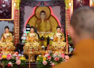 TVTV: Pháp Hội Tiêu Tai Diên Thọ Dược Sư Cầu An Đầu Năm Quý Mão via duoc su 2023 18 1