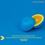 Biết trân quý những điều tốt đẹp quanh mình biet tran quy