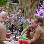 TVTV: Không khí đón Xuân Giáp Thìn – 2024 DSC 7848