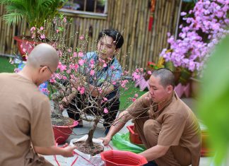 TVTV: Không khí đón Xuân Giáp Thìn – 2024 DSC 7848