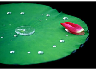 Cái Tự Biết Soi Gương 200857151858