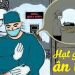 Hạt Gạo Ân Tình hat gao an tinh