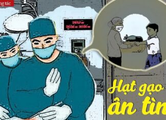 Hạt Gạo Ân Tình hat gao an tinh