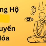 Phòng Hộ Chuyển Hóa phong ho