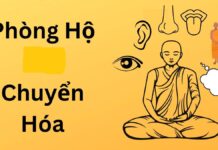 Phòng Hộ Chuyển Hóa phong ho
