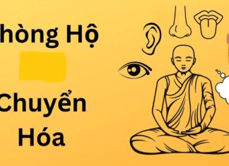 Phòng Hộ Chuyển Hóa phong ho