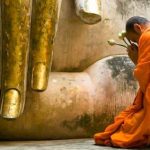 Trồng Căn Lành Và Sám Hối sam hoi