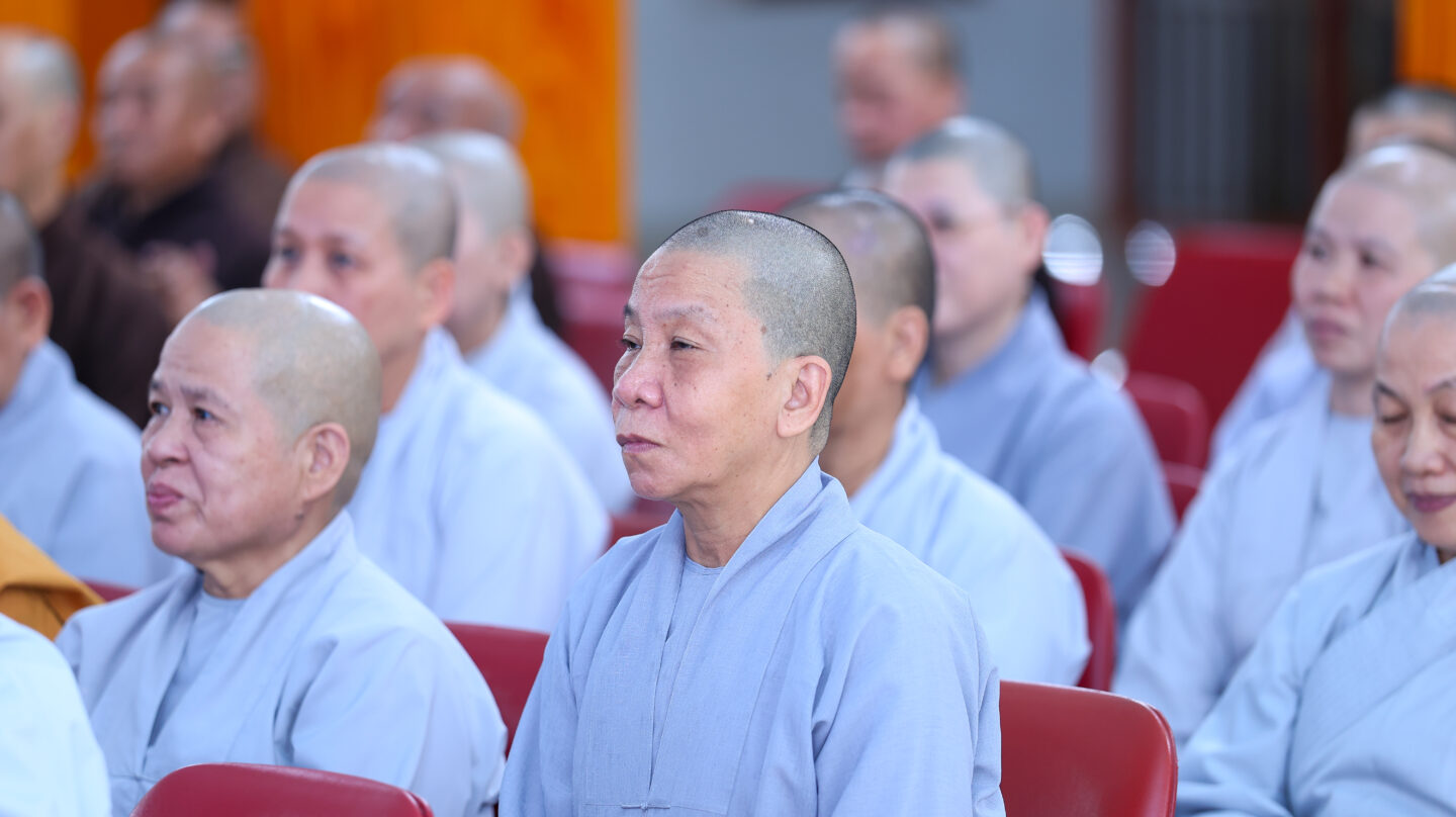 họp gai the BTS 12