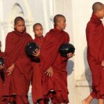 Cốt lõi của lục hòa 1000015251 7907 7417