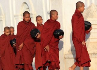Cốt lõi của lục hòa 1000015251 7907 7417