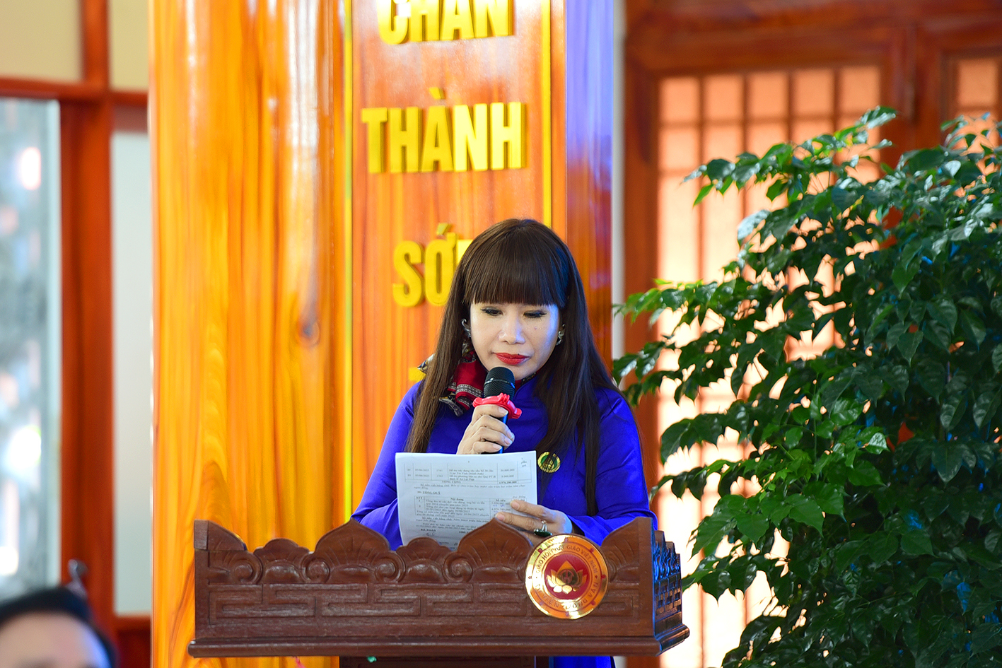 DSC 8576 DSC 8576