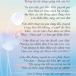 GIỌT LỆ HỒNG – THÍCH PHƯỚC TIẾN Giot le hong hong