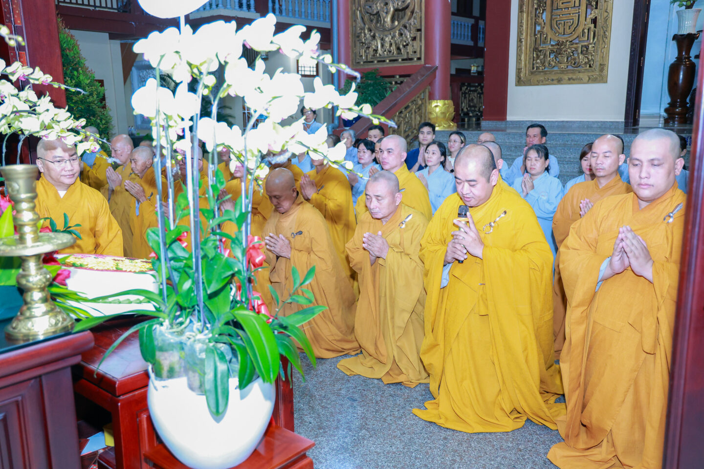 tu tu khanh tue 05
