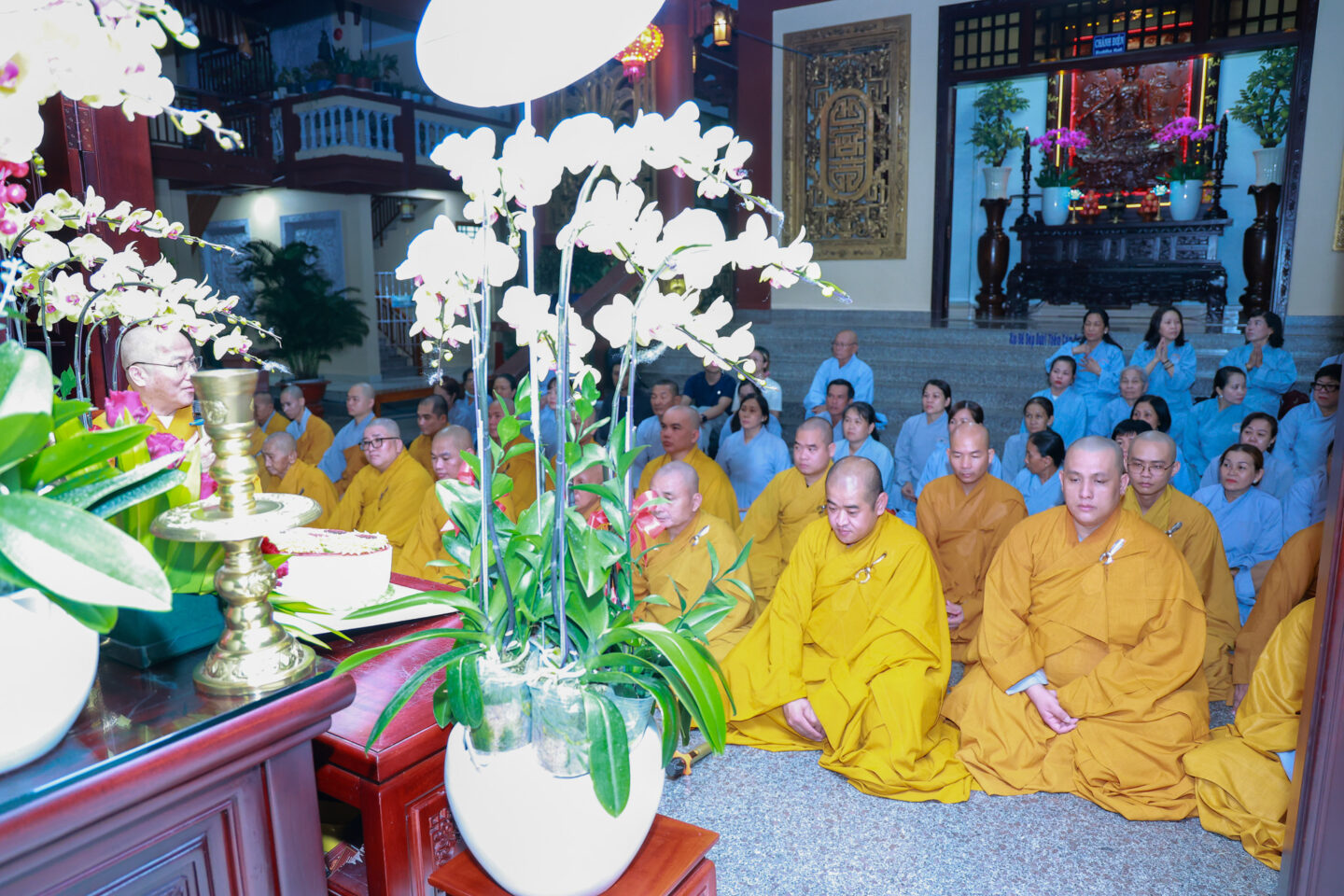 tu tu khanh tue 07