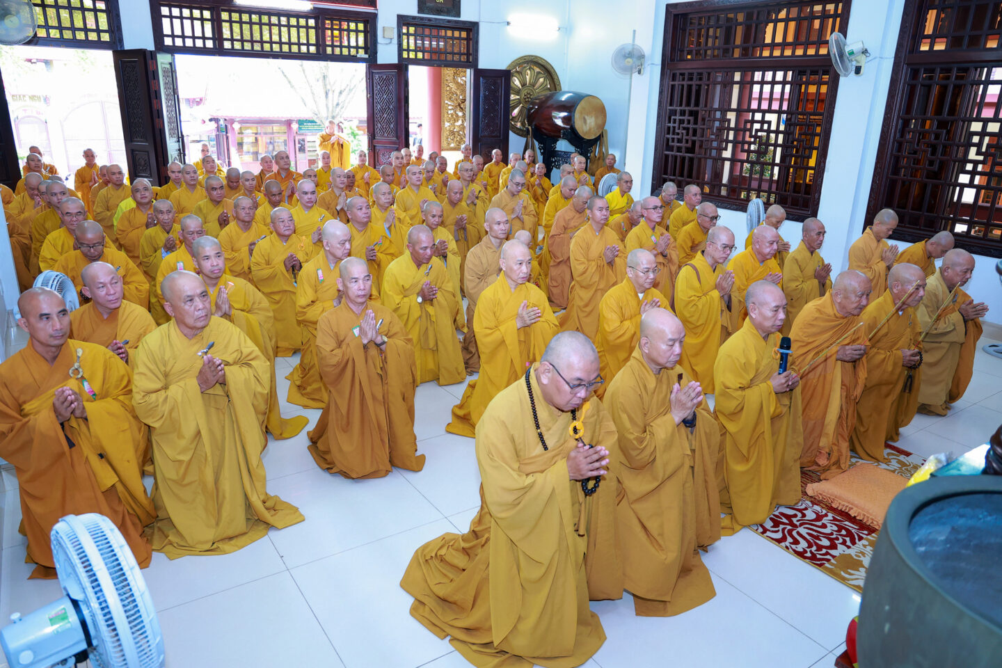 tu tu khanh tue 20