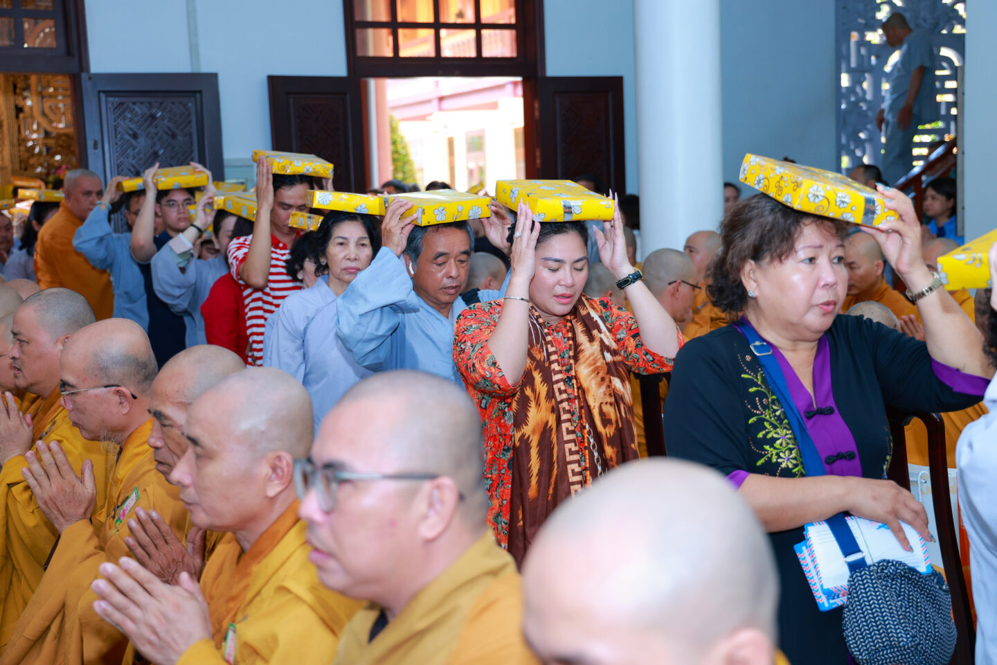 tu tu khanh tue 48