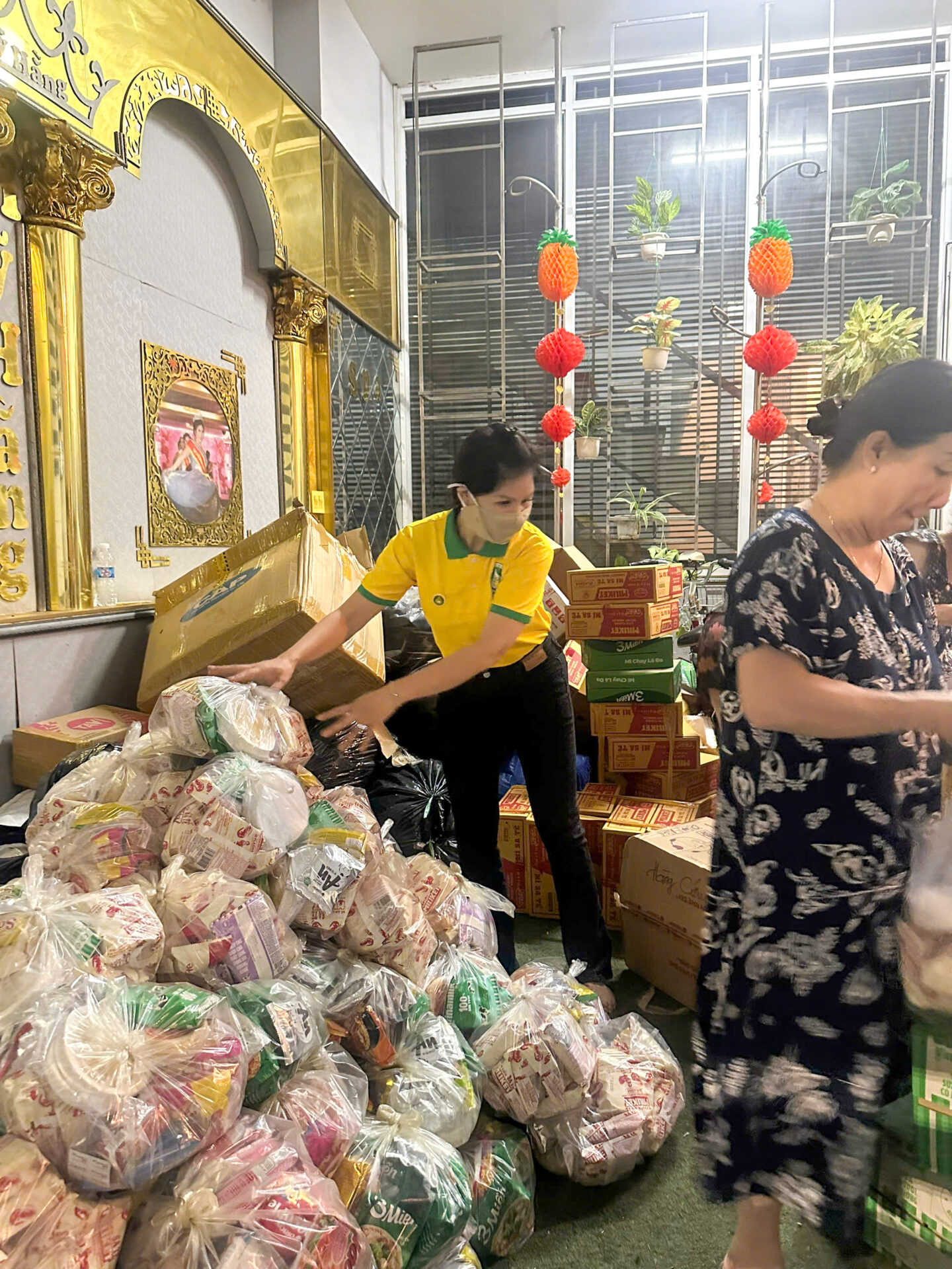phú yên 13