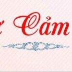 🙏 THƯ CẢM TẠ – VẬN ĐỘNG CỨU TRỢ ĐỒNG BÀO BỊ BÃO LỤT TẠI CÁC TỈNH MIỀN BẮC 🙏 thư cảm tạ Copy