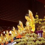 Tu theo hạnh của Đức Phật Dược Sư 2