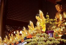 Tu theo hạnh của Đức Phật Dược Sư 2