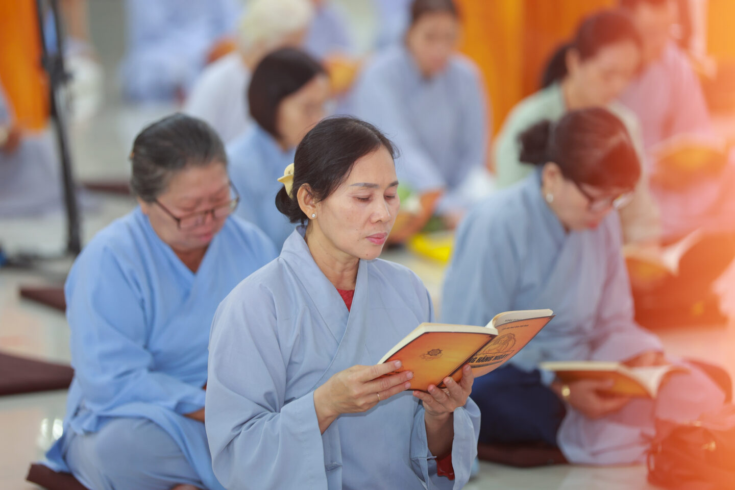 hạ nguyên 45