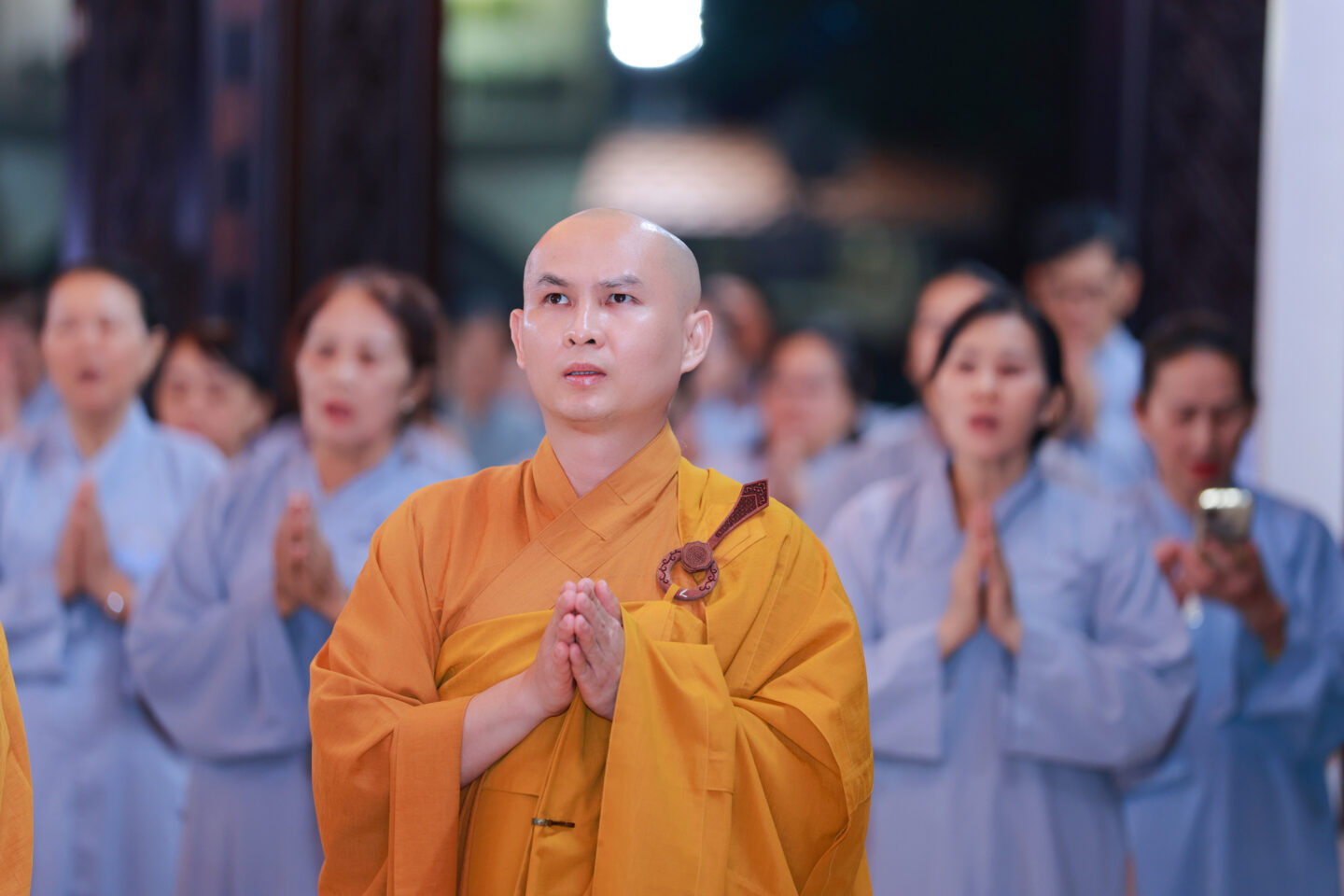 sam hoi 2910 19