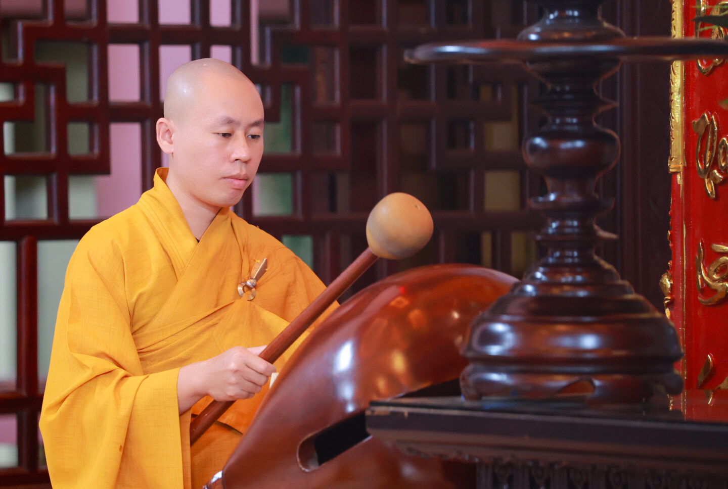 sam hoi 2910 28