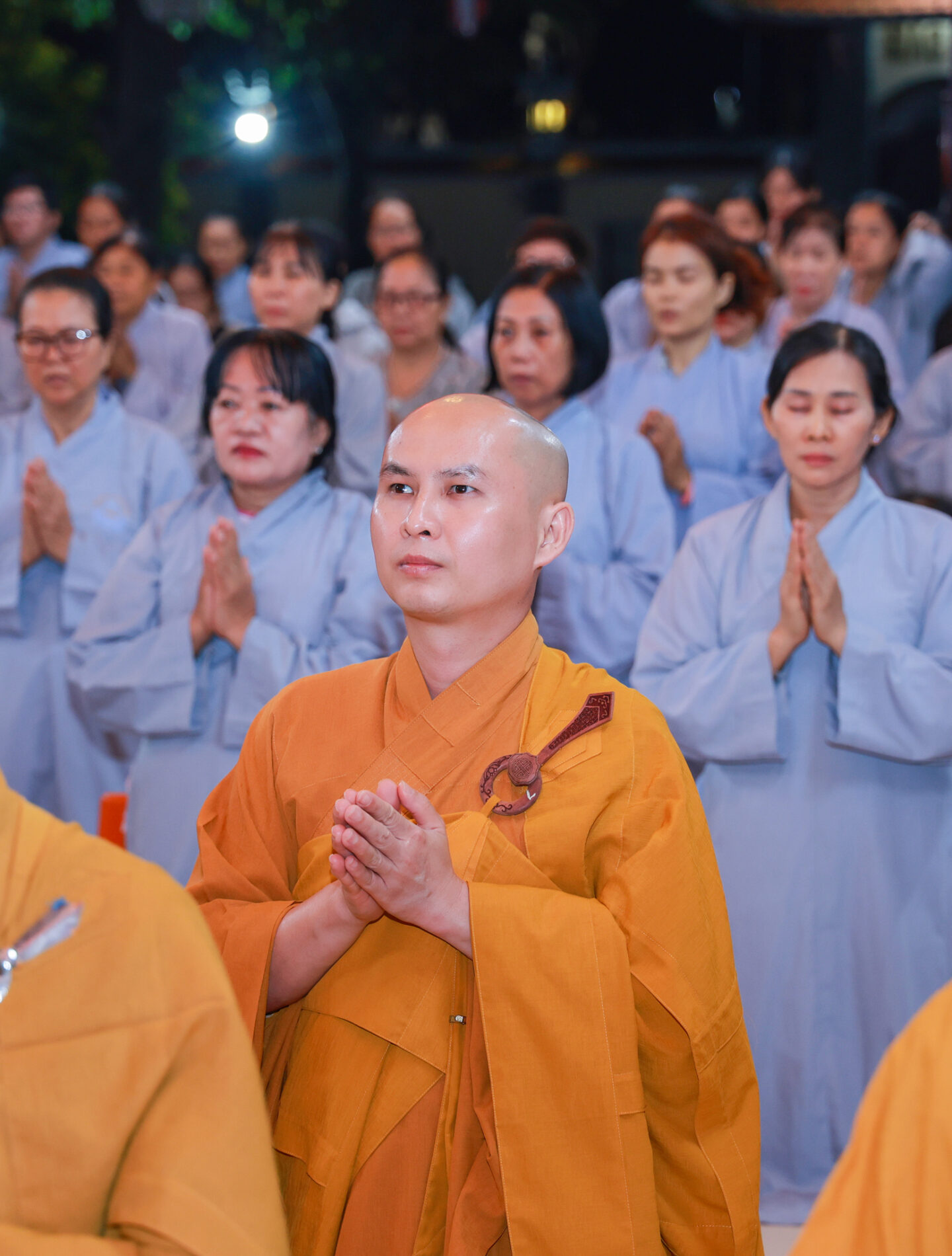 sam hoi 1411 27